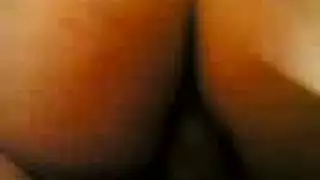 ساكس عواجز